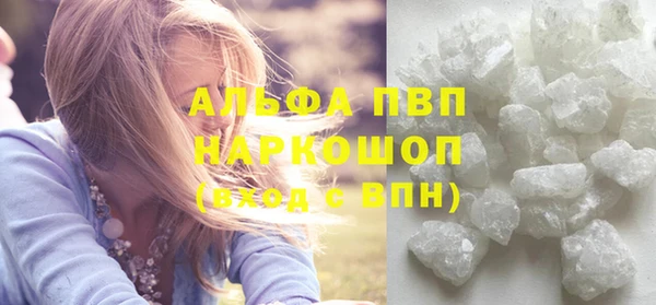 винт Лабытнанги