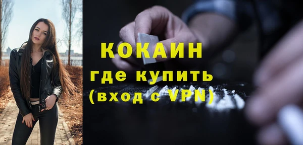 винт Лабытнанги