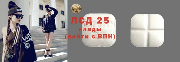 винт Лабытнанги