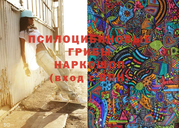 винт Лабытнанги
